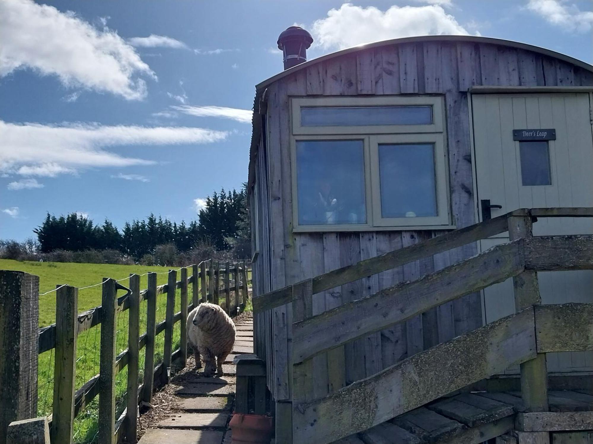 Meadowbeck - Shepherd Huts Fylingdales Luaran gambar