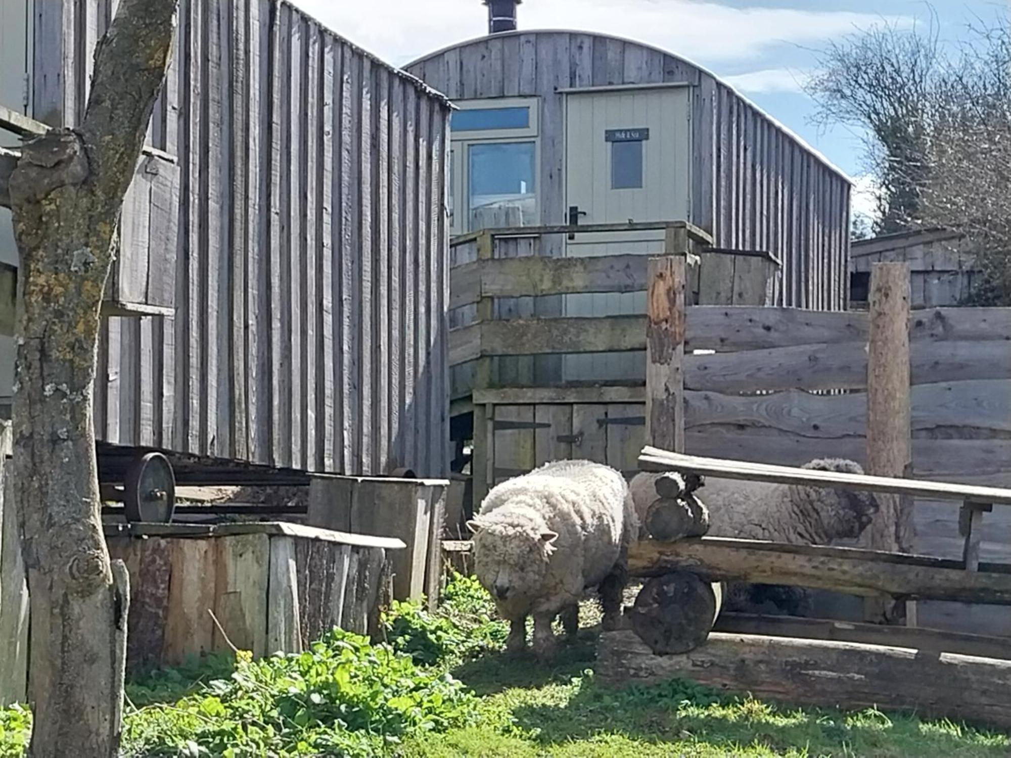 Meadowbeck - Shepherd Huts Fylingdales Luaran gambar