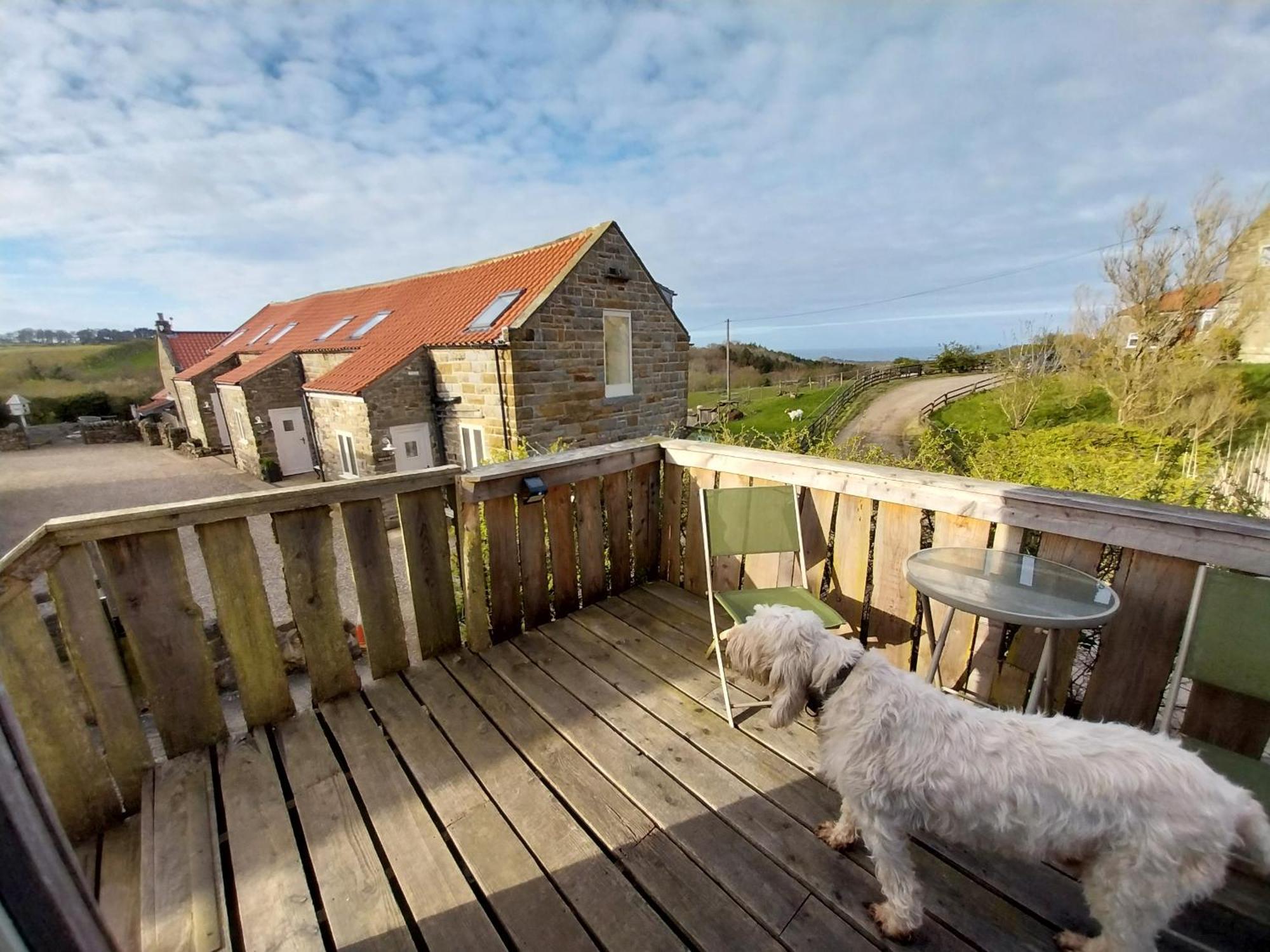 Meadowbeck - Shepherd Huts Fylingdales Luaran gambar